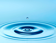 Welcome to the Well Ahead Coaching blog!